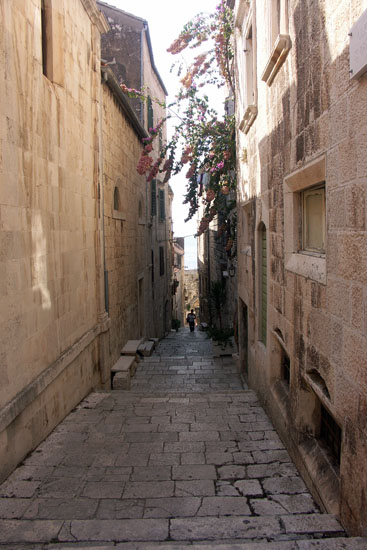 Obraz 278